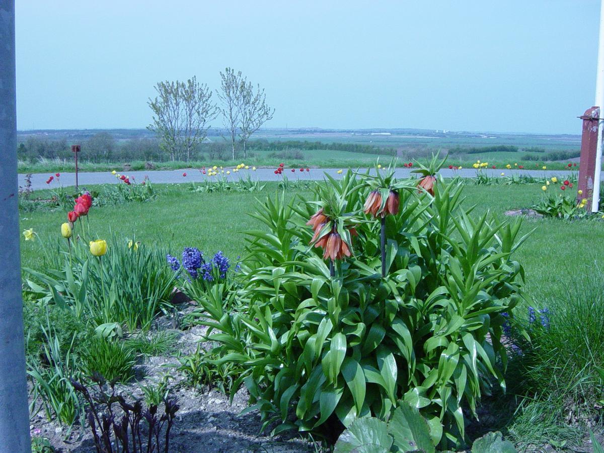 Bed and Breakfast Kardybvej 8 Tastum Exterior foto